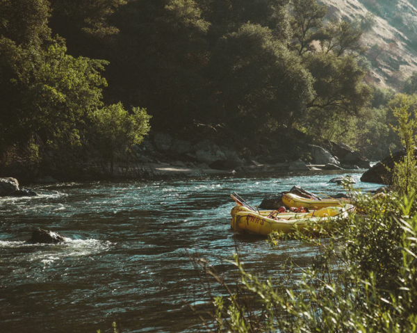 Canoe on river surrounded by grass and trees