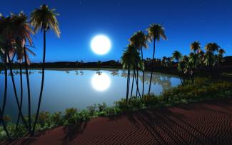 Picture of an oasis at night